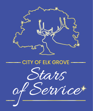 stars of service awards