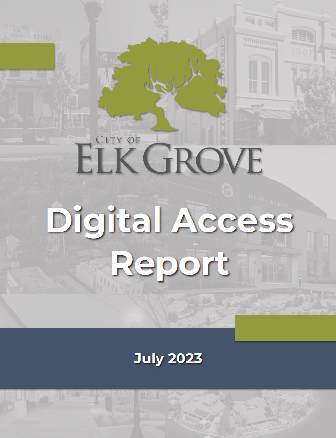 "Digital Access Report cover"